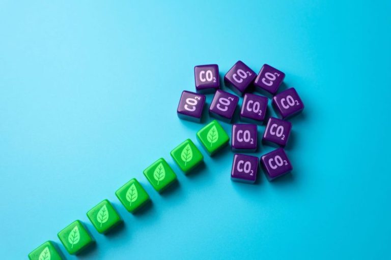 Funding the Energy Transition: The Role of Public and Private Finance in Building Supply Chains